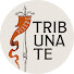 TIiPG-enbJg-channel-avatar-Tribunate