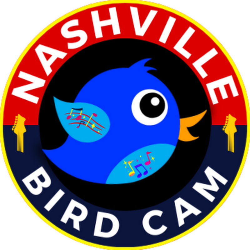 Nashville Bird Cam