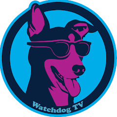 Watchdog TV
