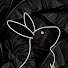 ztLqCRorupE-channel-avatar-spotlessm1ndtarot