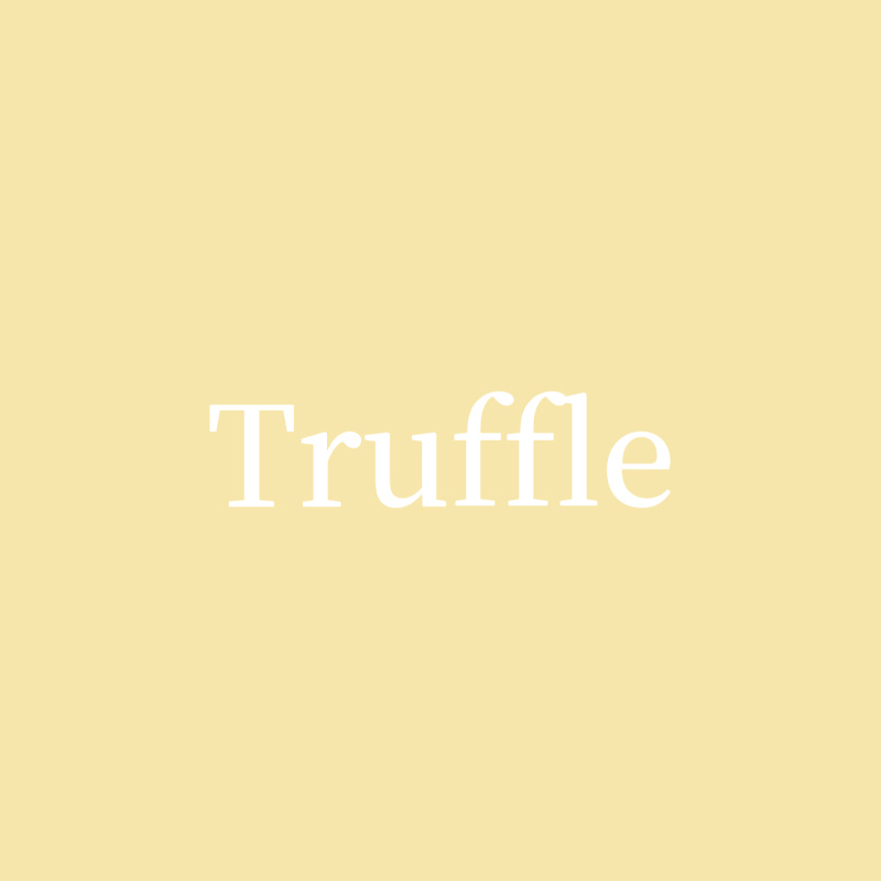 Truffle Taiwan YouTube 頻道頭像