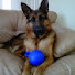 x0l-Y3LwvlI-channel-avatar-911Stitcher