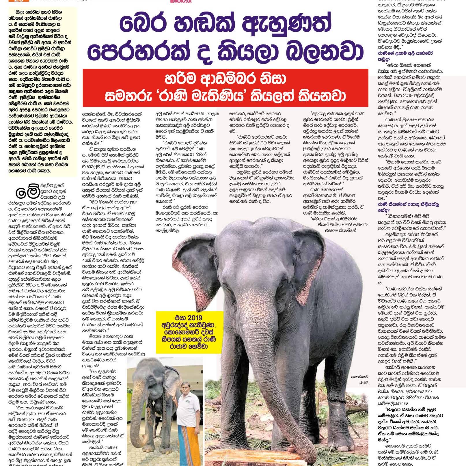 Post from Kandy Elephant Guide