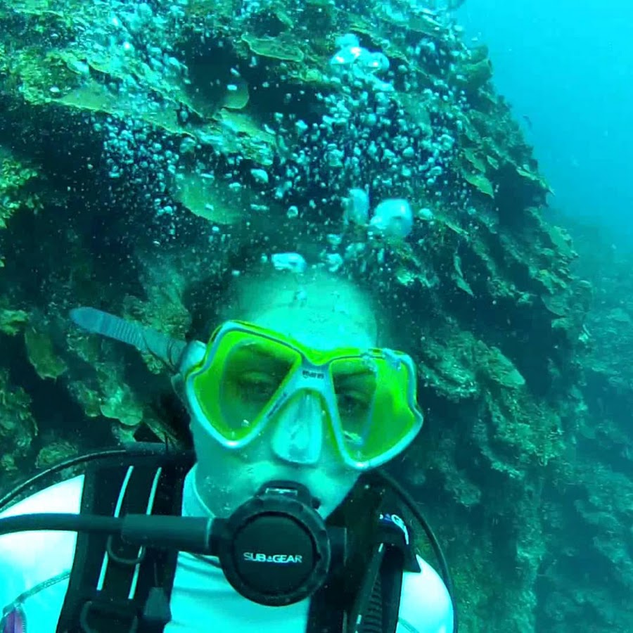 Scuba Diving Topic YouTube