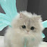 NMb2FKUv9tg-channel-avatar-Cdrama teach Chinese