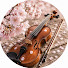 DBSc63lSEho-channel-avatar-Sakura Classics