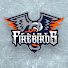 txr_JssQVh0-channel-avatar-Flint Firebirds