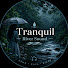 92pnMIFKBeU-channel-avatar-Tranquil River Sound