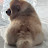 @minjang3214