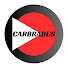 PEReZ3yH19k-channel-avatar-CARBRABUS