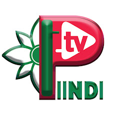PIINDI TV net worth