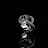 @TaipanCARS Avatar