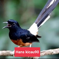 Hans kicau90