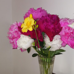 世外桃源アイコン画像