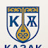 PUCAILDwJB0-channel-avatar-Қазақ жаңалық