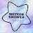 meteorshower0306