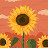 @BethMarshall-o2q Avatar