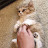 @kKkK5388-z4m
