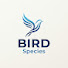 OS-e7JAjN5A-channel-avatar-BIRD Species