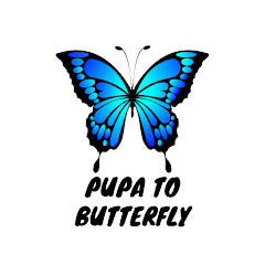 Pupa to Butterfly