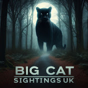 Big cats UK