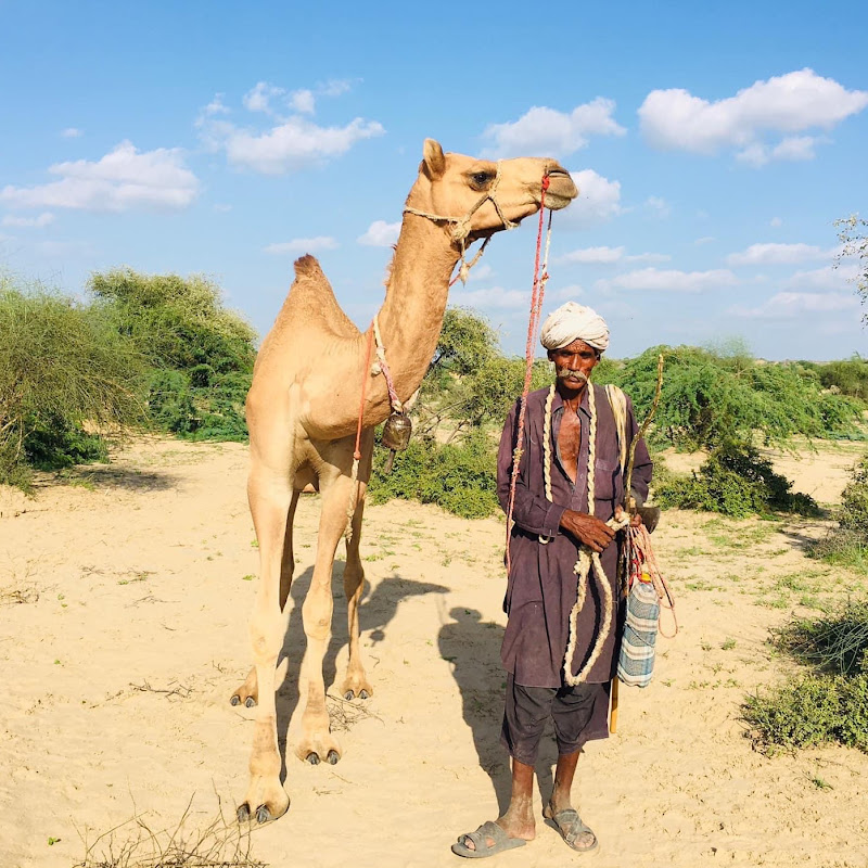 Natural Beauty & Scenes 