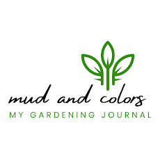 Mud And Colors Image Thumbnail