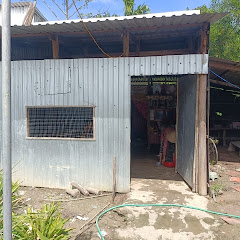 TRẦN MINH TRƯỜNG TV