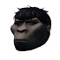 yzJe4qZ2Bh0-channel-avatar-eddygar and EddygarPlays