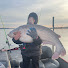 nCz_prWifgk-channel-avatar-Fishing Knot Catching