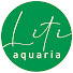 n2-NNIBZIU0-channel-avatar-LitiAquaria