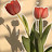 @FaridaGamal-m5v