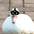 Pzb3trBsFRg-channel-avatar-Bubi