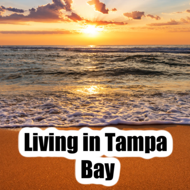 Living in Tampa Bay