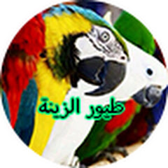 طيور الزينة