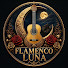 pBq2HEEEKMg-channel-avatar-Flamenco Luna