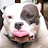 @holmes4373's avatar