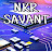 Avatar of @NkrSavant