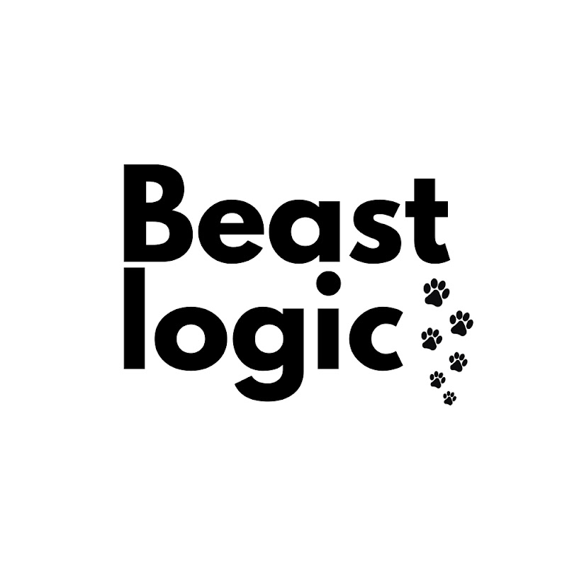 Never try this trick with your dog 💀 #animals #pets