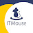 ITMouse: международная школа программирования
