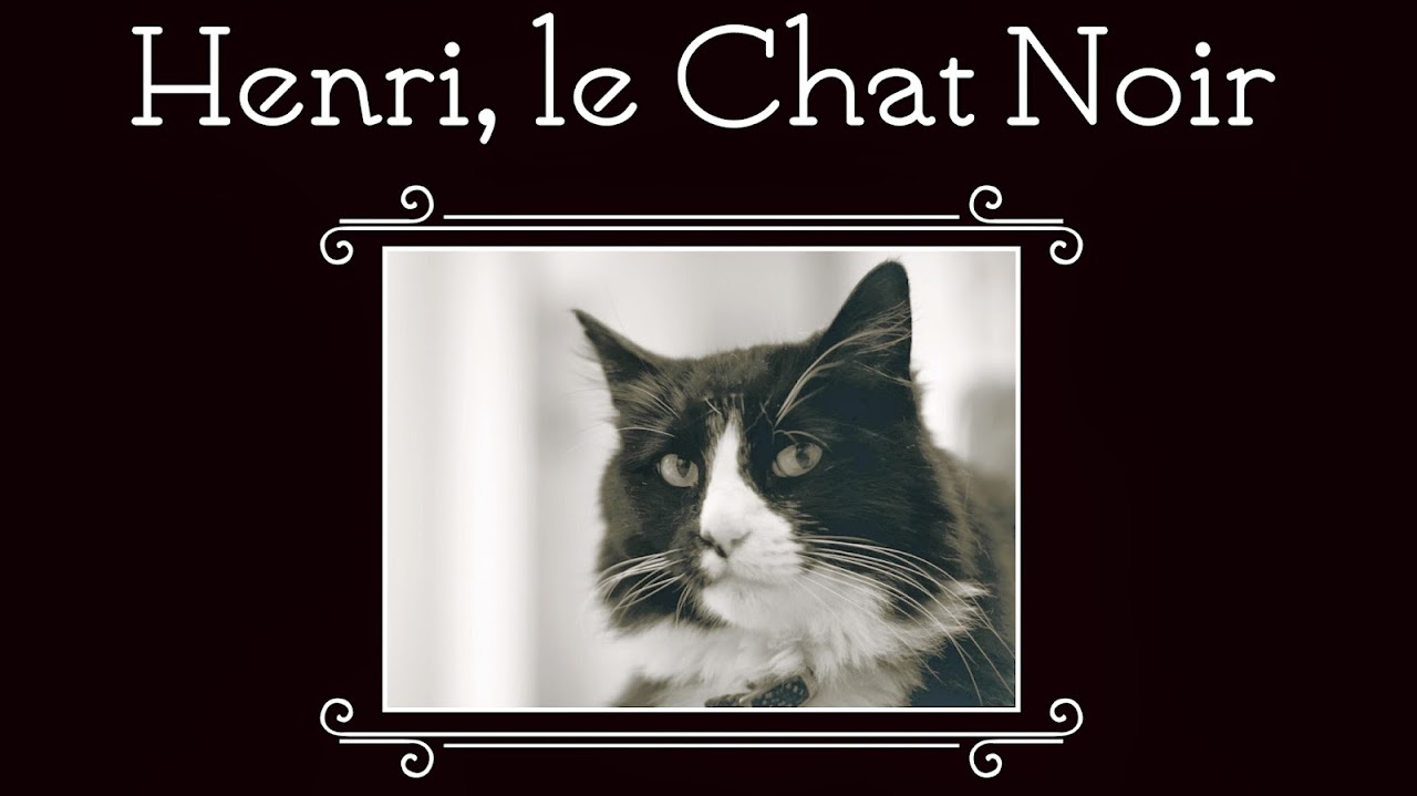 Henrilechatnoir Youtube