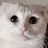 @지사-q3j