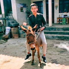 云南马飘飘アイコン画像