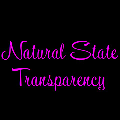 Natural State Transparency net worth