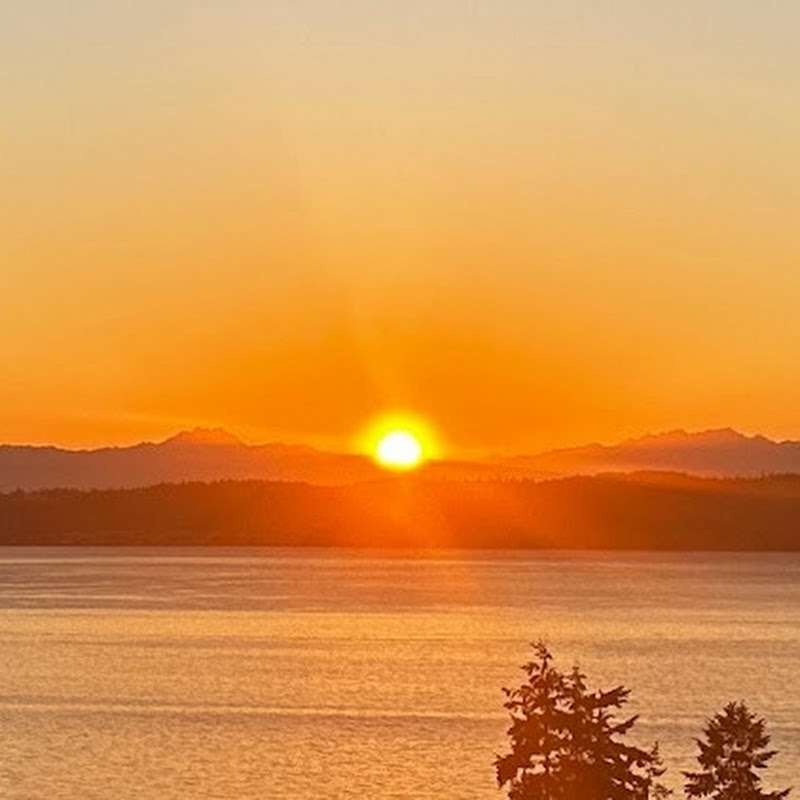 Poverty Bay - Puget Sound / Seattle Area Live Cam logo