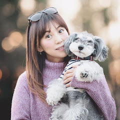 *nako time*犬たちとの時間
