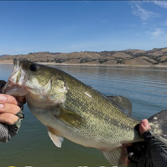 HTLineFishing