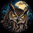 zXY9wFLtFcg-channel-avatar-Ebar Sonar Pala
