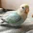 xBa0NZ8Z1nE-channel-avatar-そらちゃん、宅建士を目指す
