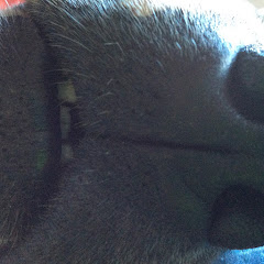 Coompa channel thumbnail